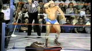 WWC Tony Atlas vs Iron Shiek 1987 [upl. by Micaela823]