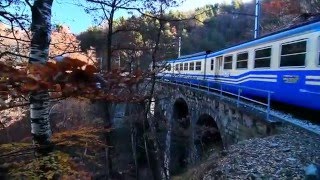 Ferrovia VigezzinaCentovalli Un viaggio lungo una fiaba [upl. by Malley]