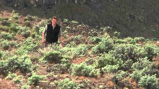 Roadside Geology  Frenchman Coulee [upl. by Arracahs]