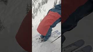 Testing 2025 Salomon Skis at Alta Ski Area with SkiEssentialscom [upl. by Ailina]