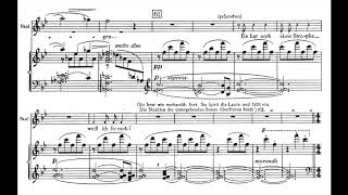 Erich Korngold Mariettas Lied from Die Tote Stadt w Score [upl. by Remsen]