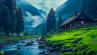 Beautiful Relaxing Music  Stop Overthinking Stress Relief Music Sleep Music Calming Music 60 [upl. by Hteazile]