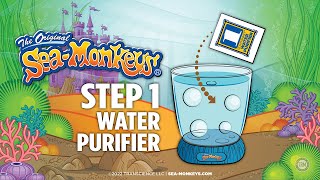 Step 1  Water Purifier  The Original SeaMonkeys® [upl. by Karlene872]