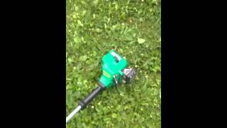 Weed eater Featherlite weed whacking [upl. by Rriocard]