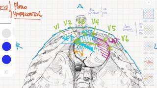 ECG Derivaciones y caras  3 Plano horizontal [upl. by Leidag]