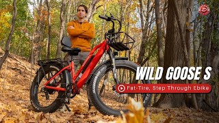 Wildgoose S  FatTire Ebike [upl. by Aicissej525]