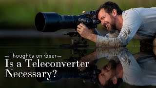 Are Teleconverters Necessary for Wildlife Photography [upl. by Osher]