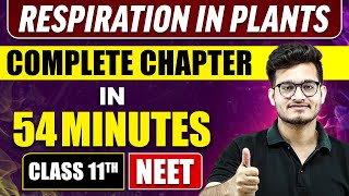 RESPIRATION IN PLANTS in 54 Minutes  Full Chapter Revision  Class 11 NEET [upl. by Rosalyn]