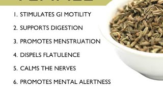 Fennel SeedsWaterBenefitsfennelseedsfennelfennelshealthmedicinalusesherbsantacidweightloss [upl. by Sydel]