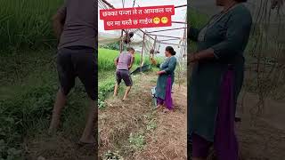 😂🤣Tero paisa laija mero baisa firta le video by pawankhanal  Chhakka panja 5 breakup song nepali [upl. by Bowden]