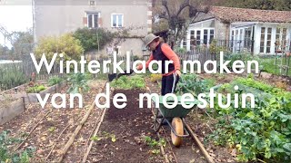 Inis Moestuin 168  Eind november Moestuin winterklaar maken amp witlof intafelen [upl. by Yesiad]