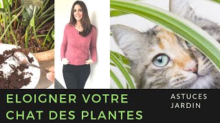 Comment éloigner votre chat des plantes [upl. by Enimrac791]