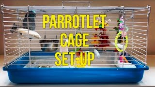 HOWTO TAME A PARROTLET HOWTO SET UP A PARROTLET CAGE [upl. by Maice600]