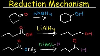 NaBH4 LiAlH4 DIBAL Reduction Mechanism Carboxylic Acid Acid Chloride Ester amp Ketones [upl. by Llemar]