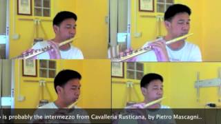 Ave Maria  Intermezzo From Cavalleria Rusticana Flute Quartet [upl. by Alpert]