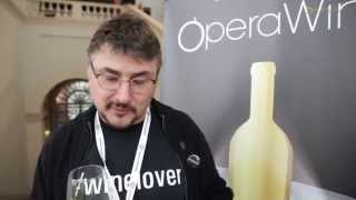 OperaWine 2015  Interview  Luiz Alberto  Italian Wine Ambassador [upl. by Etiuqal154]