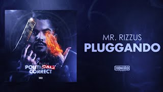 MR RIZZUS  PLUGGANDO prod by NARDI [upl. by Euqininod670]