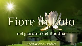 Fiore di Loto nel Giardino del Buddha  Meditazione Guidata [upl. by Gesner]