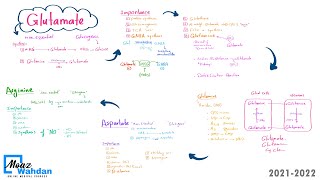 29 Glutamate  Aspartate amp Arginine part 01  Moaz Wahdan [upl. by Seppala]