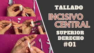 Tallado en cera de incisivo central superior derecho  Anatomia dental  Odontologia Con Cri [upl. by Aytnahs101]