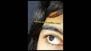 Examination of pupillary light reflex 2nd year MBBS practical Physiology [upl. by Shurlock]