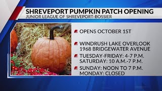 Windrush Lake pumpkin patch opening in Shreveport [upl. by Baptiste]