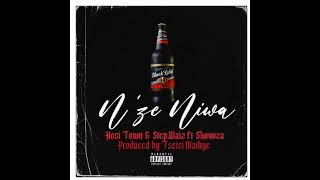 Nze Ni Wa By Hosi Town amp StepWaiz ft Skovoza [upl. by Llerdnam]