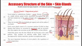 Human Anatomy amp Physiology 51 Accessory Structure of Skin  Glands of Skin  Sebaceous Gland [upl. by Anerat863]