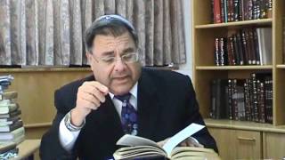 Rabbi Riskin Parshat Behaalotcha  Torah Lights 5772 [upl. by Hepsoj]