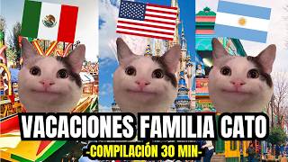 VACACIONES FAMILIA CATO  compilación 30 minutos meme de gatos [upl. by Auerbach]