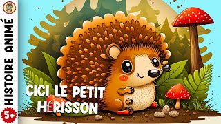 HISTOIRE POUR DORMIR pour enfant Sendormir FACILEMENT quot Cici Le Petit Hérisson quot [upl. by Ysus360]