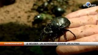 Le bousier un astronome comme les autres [upl. by Parent]