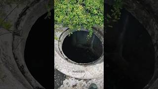 This guy went into sewage tank shortvideo shorts [upl. by Ayrolg760]