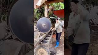 Handheld circular tooth saw cutting wood process [upl. by Sualokin]