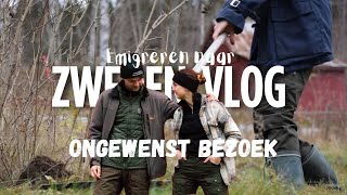 Weekvlog 3 Emigreren naar Zweden  Op avontuur in eigen tuin amp ongewenst bezoek [upl. by Kone]