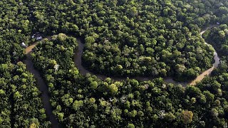 La Commissione europea rinvia di un anno la legge sulla deforestazione dopo le proteste dei… [upl. by Lyrac]