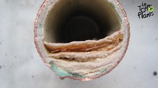 Easy How To clean a faucet and calcified minerals using household vinegar [upl. by Saduj]