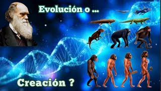 Evolución o Creación [upl. by Emmaline489]