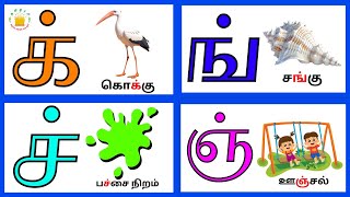 மெய் எழுத்துக்கள்க் ன்  Mei Eluthukkal  Tamil Letters Tamilarasi [upl. by Damali392]