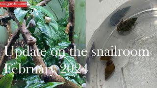 Snailroom update february 2024 [upl. by Anert]