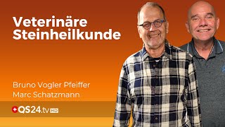 Heilsteine in der Tiermedizin Ein Tierarzt berichtet  Back to school  QS24 Gesundheitsfernsehen [upl. by Alodi]