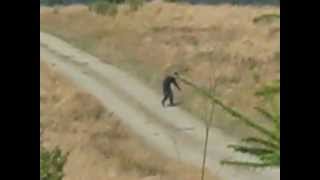 Bigfoot seen over Carson City Nevada 1 [upl. by Cohlette]