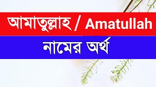 Amatullah at Mini Cox’s Bazar [upl. by Boyt70]