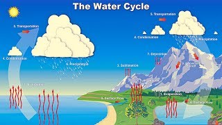 Water Cycle Song  Water Cycle for Kids  Water Cycle Animation  The Water Cycle [upl. by Inimod]