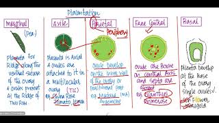 morphology of flowering plants class 11  Aestivation  Placentation  fruits  seed  part 4 [upl. by Amlet]