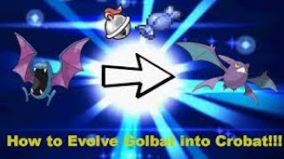 How to evolve Golbat into Crobat [upl. by Aelsel]