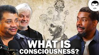 David Chalmers Discusses the Hard Problem of Consciousness [upl. by Siubhan]