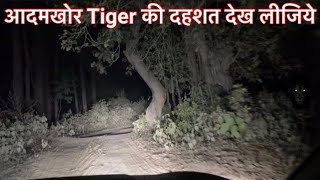 Khatima Forest Night Drive  Khatima Tiger Attack 2024  Uttarakhand Tiger Terror tigerattack [upl. by Mcguire]