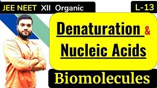 L13 Denaturation  Nucleic Acids  Biomolecules  NEET JEE  By Arvind Arora [upl. by Carthy495]