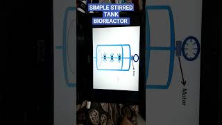 Simple Stirred tank bioreactor [upl. by Hachmin363]